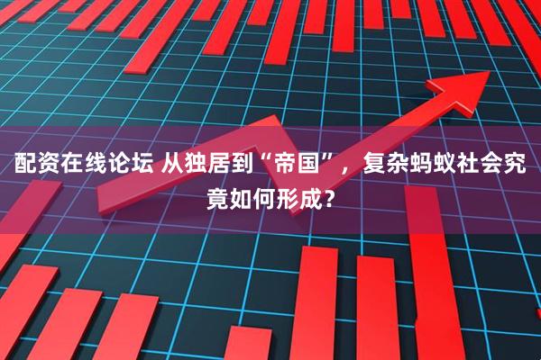 配资在线论坛 从独居到“帝国”，复杂蚂蚁社会究竟如何形成？