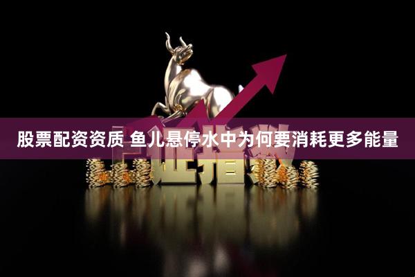 股票配资资质 鱼儿悬停水中为何要消耗更多能量